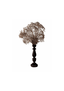 White Gorgonia Mounted on 19th C Candlestick