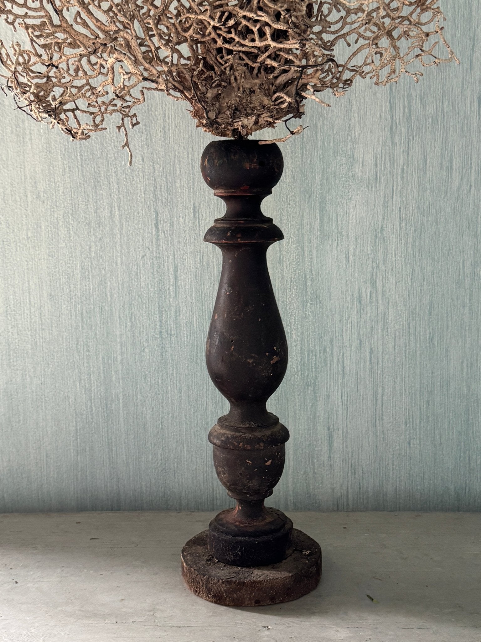 White Gorgonia Mounted on 19th C Candlestick
